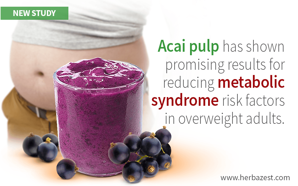 Pilot Study Evaluates Acai’s Effects on Metabolic Disorders