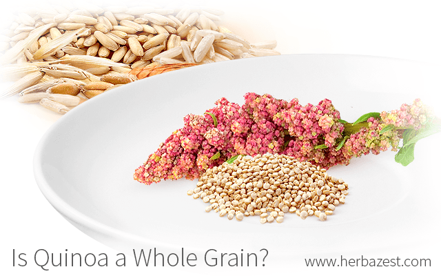 Is Quinoa a Whole Grain?