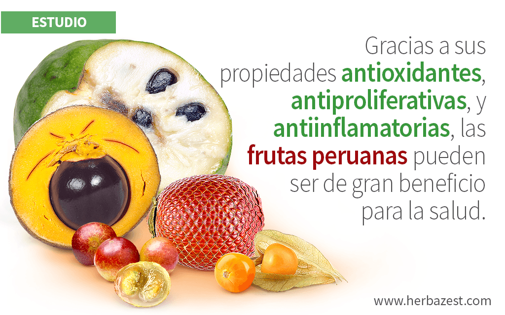 Investigan frutas peruanas con potencial terapéutico