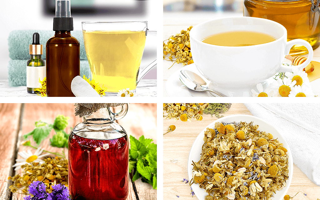 Chamomile Remedies HerbaZest