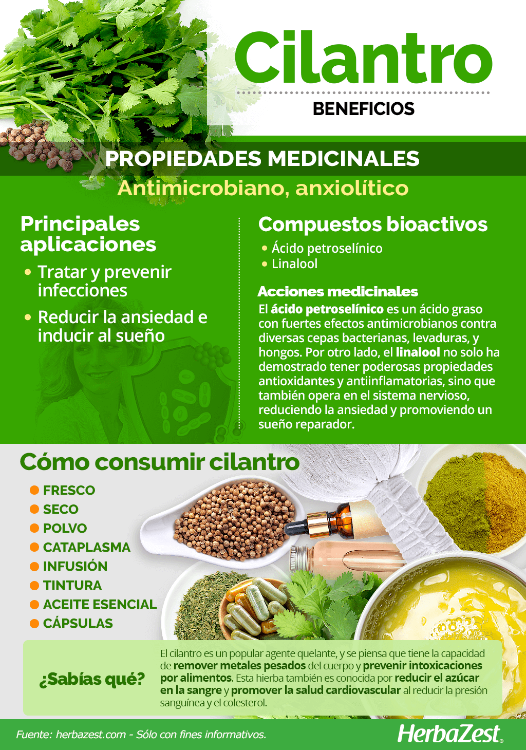 Beneficios del cilantro