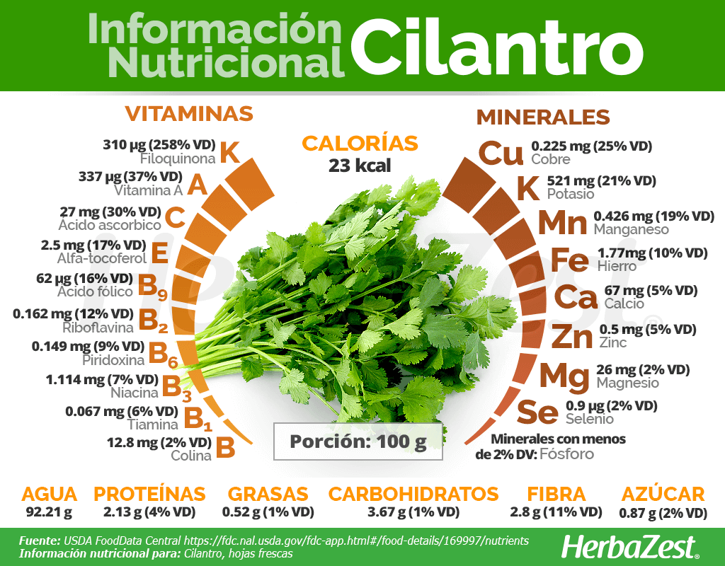 Información nutricional del cilantro
