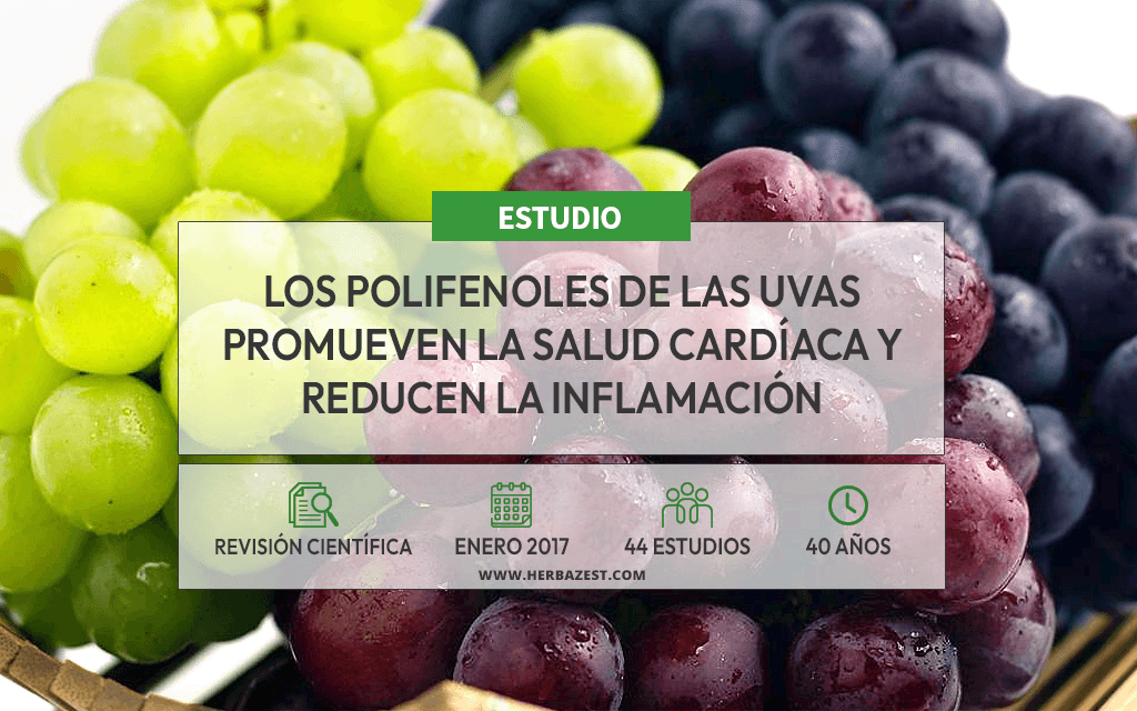 Las uvas podrían reducir el riesgo cardíaco y metabólico
