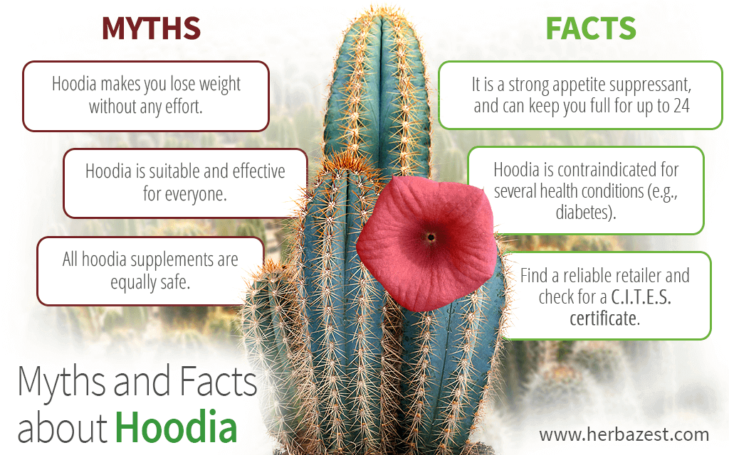 Myths and Facts about Hoodia