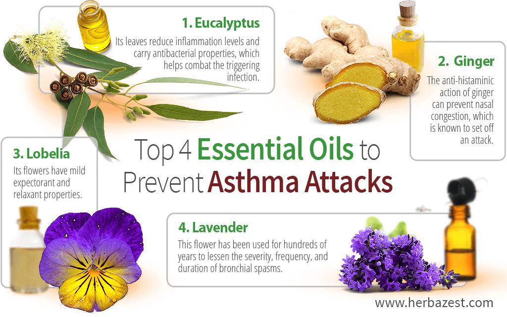 Top 4 Essential Oils to Prevent Asthma Attacks