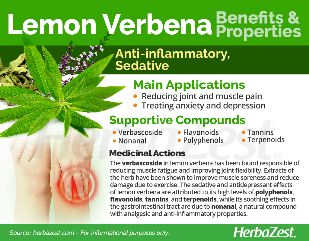 Lemon Verbena Benefits & Properties