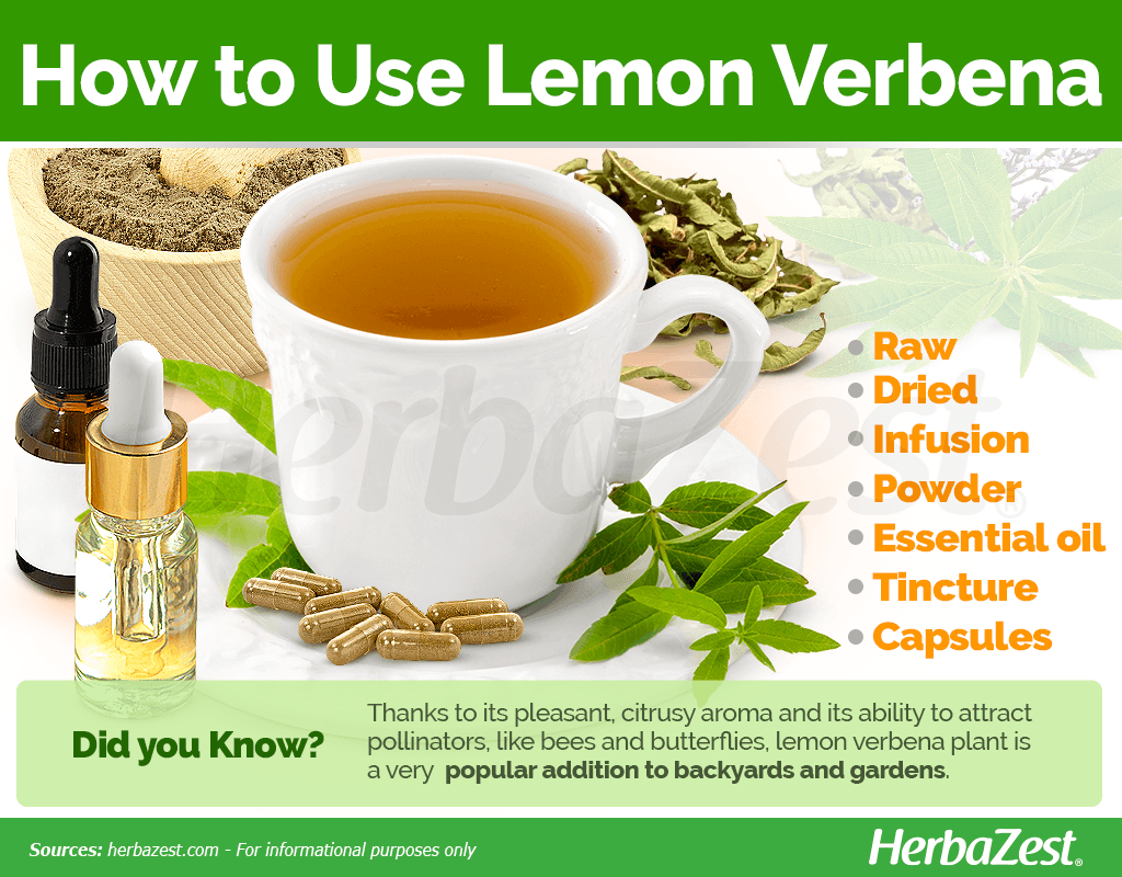 How to Use Lemon Verbena