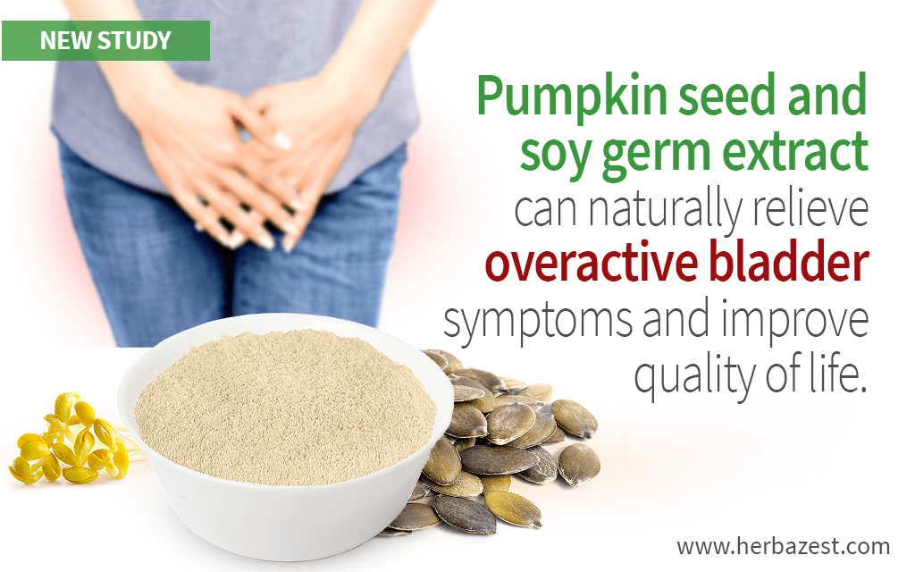 Overactive Bladder Improved by Pumpkin Seed and Soy Germ Extract