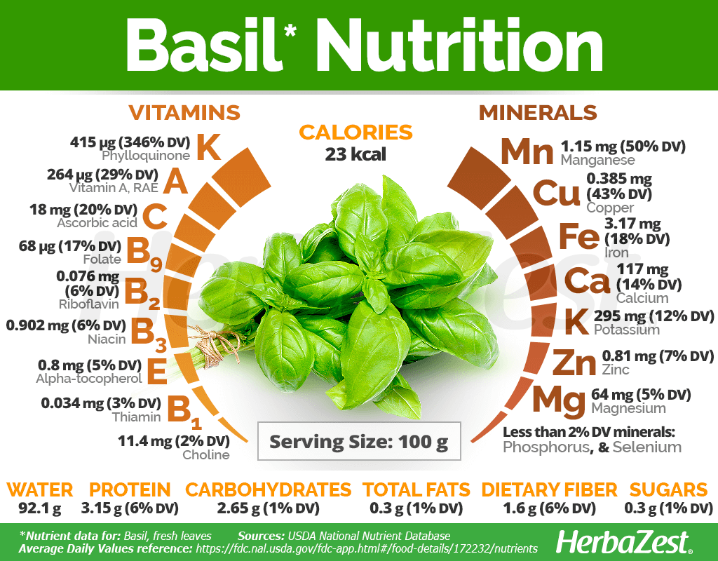 Basil Nutrition Facts