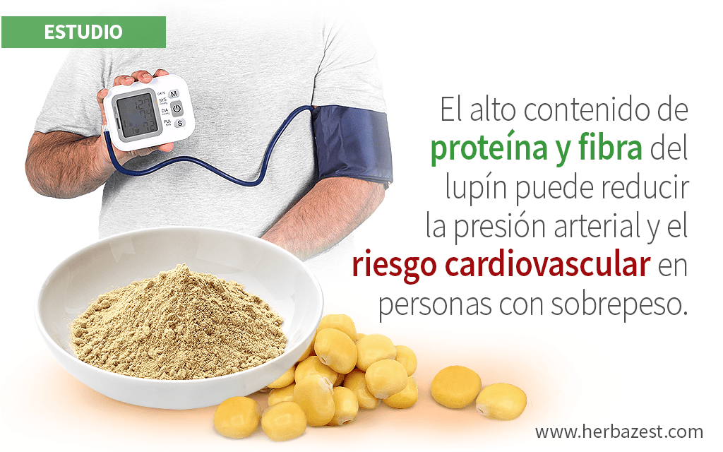 La harina de lupín ofrece beneficios para la salud cardiovascular