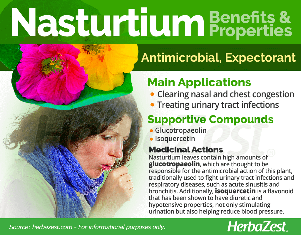 Nasturtium Benefits and Properties