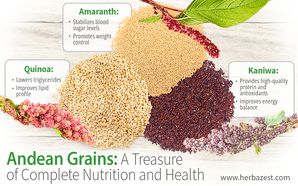 Andean Grains: A Treasure of Complete Nutrition and Health Benefits
