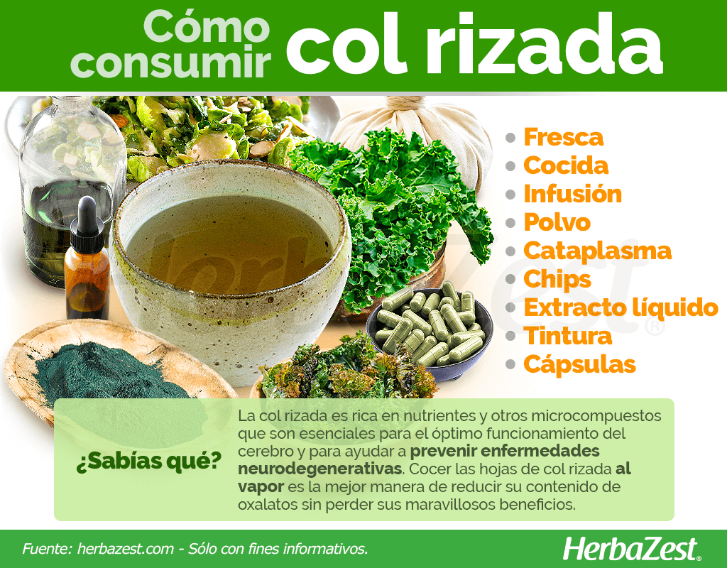 Cómo consumir col rizada