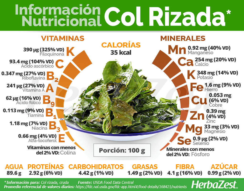 Información nutricional  de la col rizada