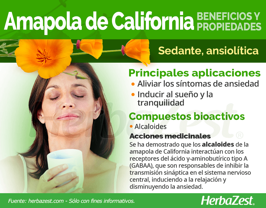 Beneficios y propiedades de la amapola de California