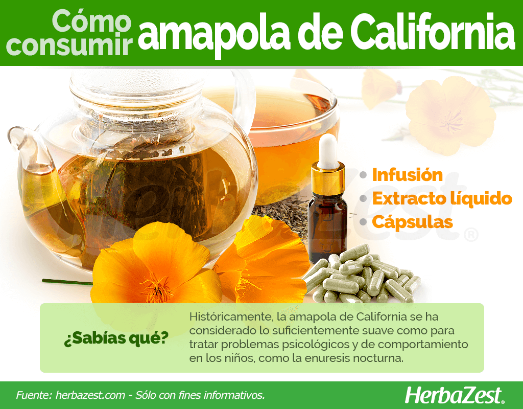 Cómo consumir la amapola de California