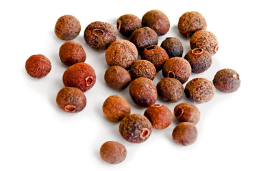 Allspice