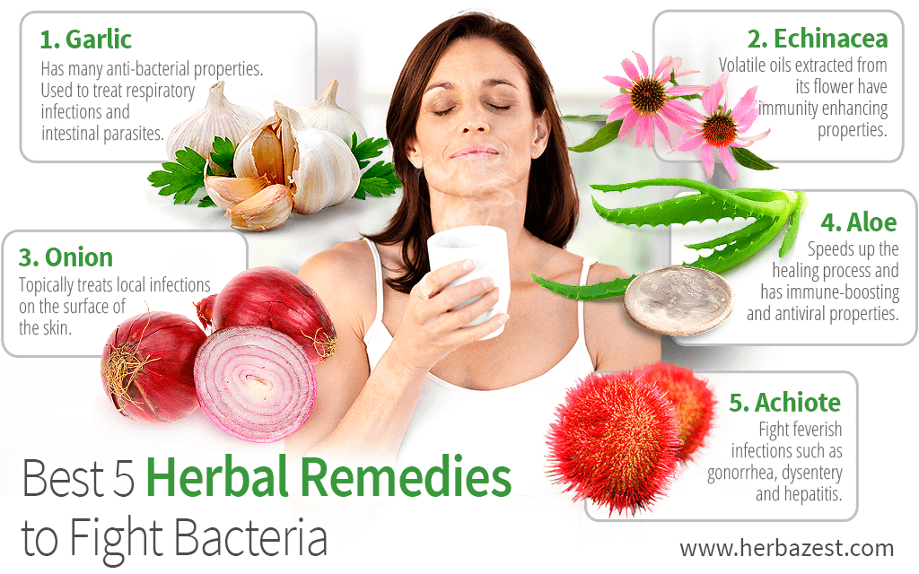 Best 5 Herbal Remedies to Fight Bacteria