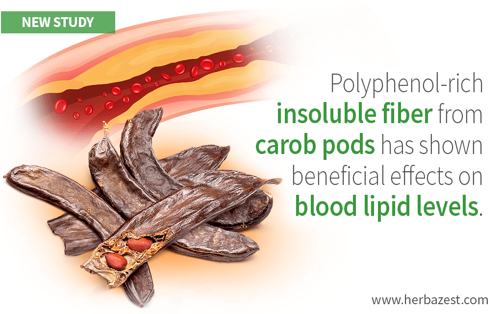 Carob's Insoluble Fiber Shown to Reduce Cholesterol Levels