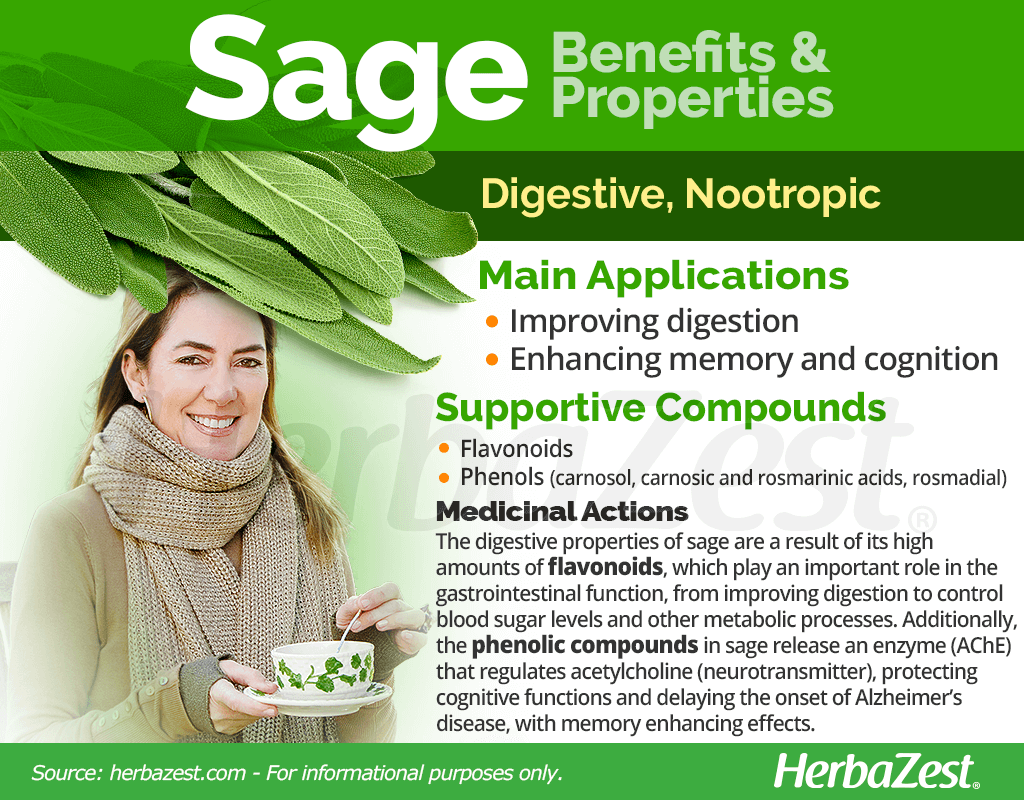 Sage Benefits and Properties