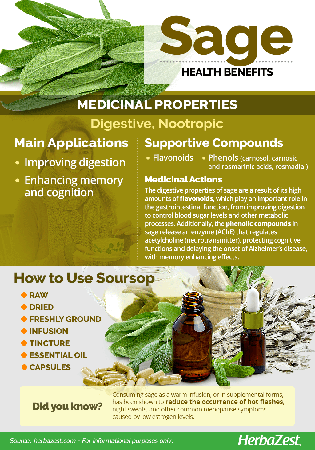 Sage Benefits - Natural Health Guide