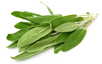 Sage