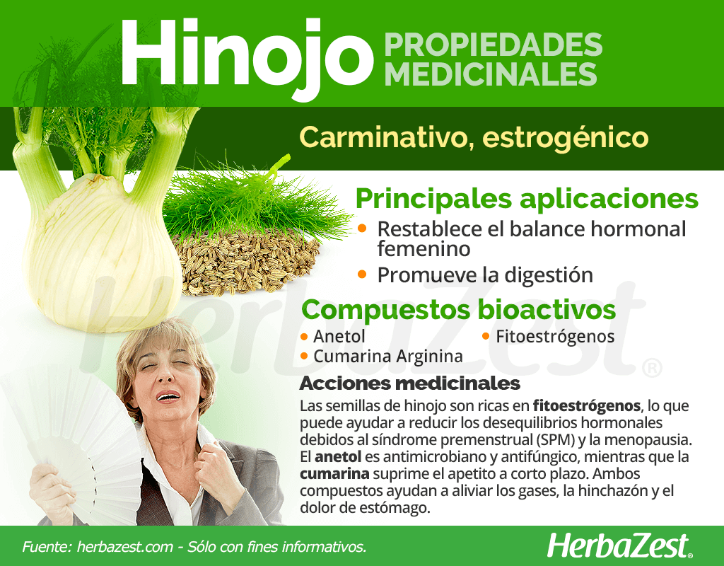 Propiedades medicinales del hinojo