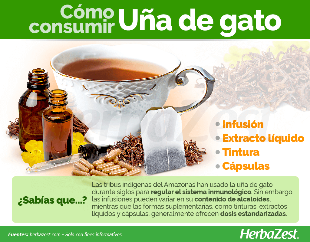 Cómo consumir uña de gato