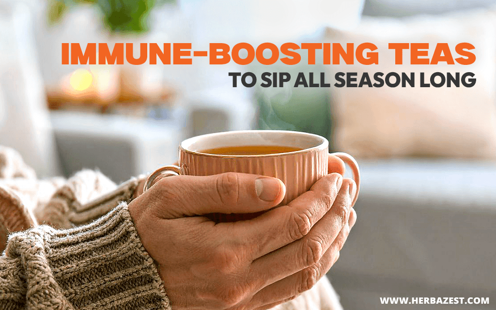 Immune-Boosting Teas to Sip All Season Long