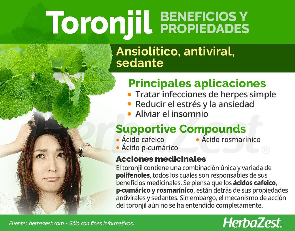 Beneficios y propiedades del toronjil