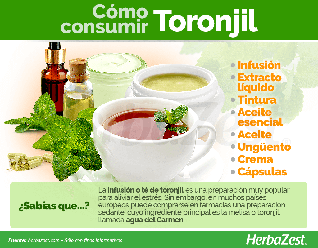 Cómo consumir toronjil