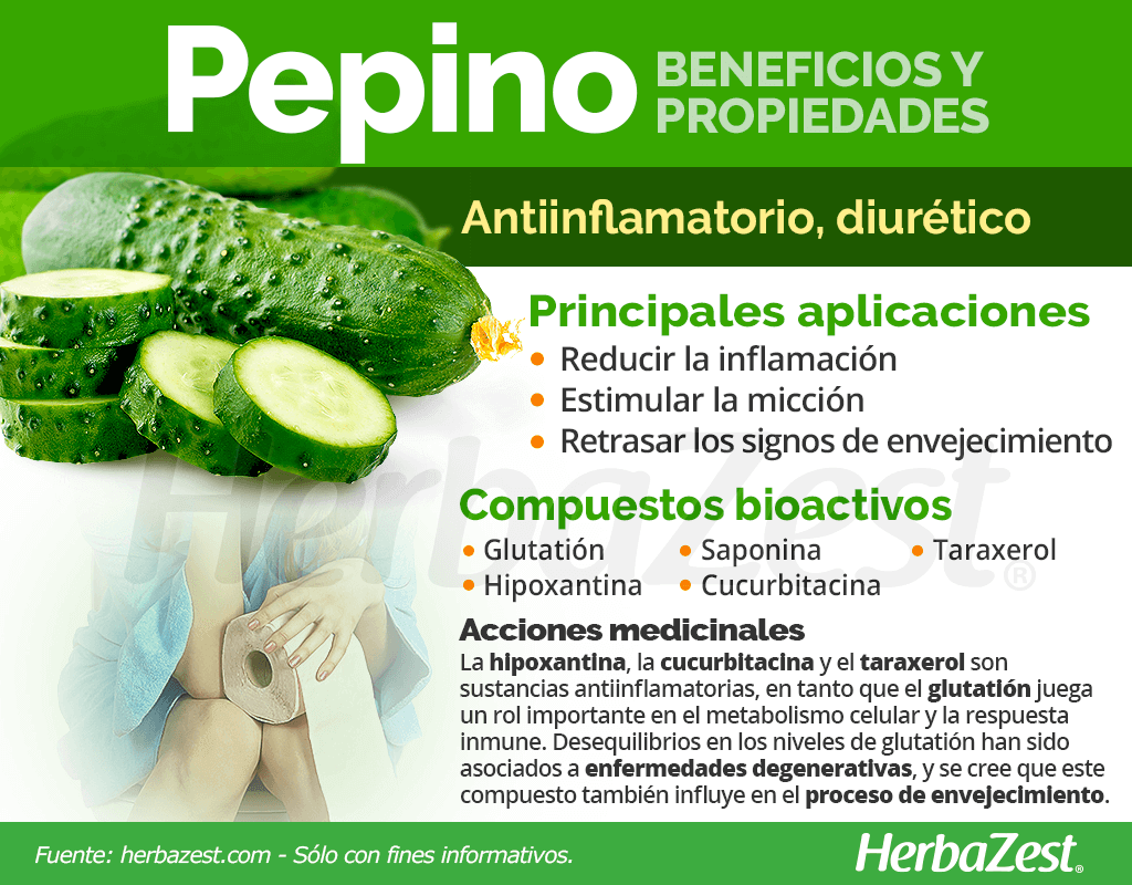 Beneficios y propiedades del pepino