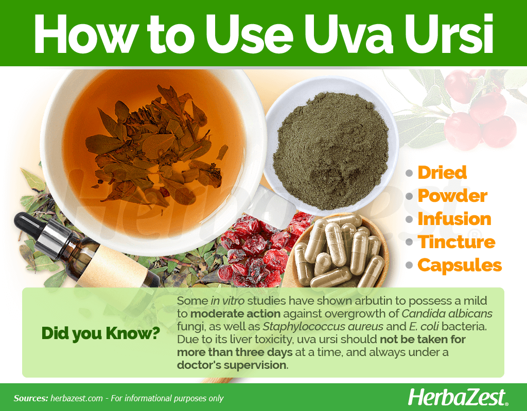 How to Use Uva Ursi