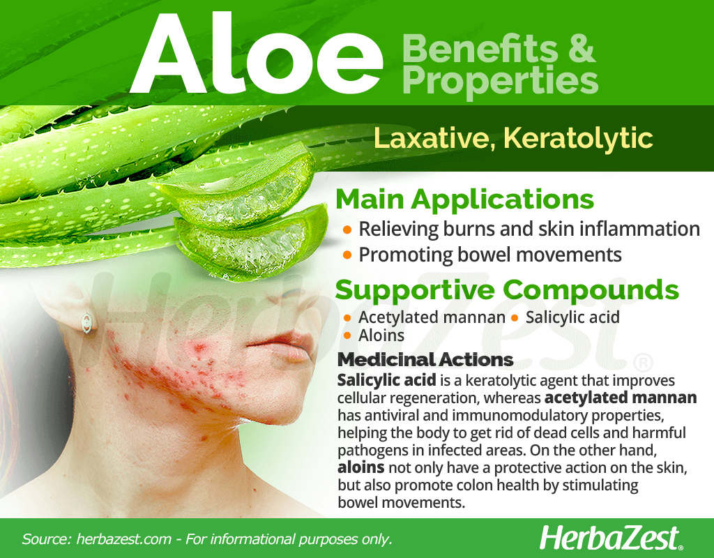 Aloe Benefits & Properties