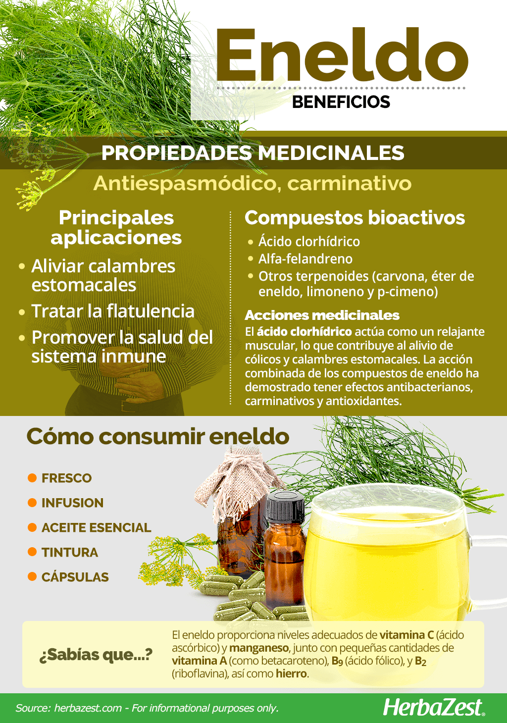 Beneficios del eneldo