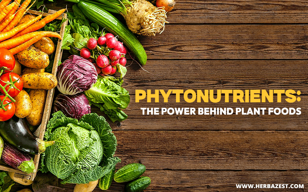 Phytonutrients: The Key to Plant-Based Nutrition
