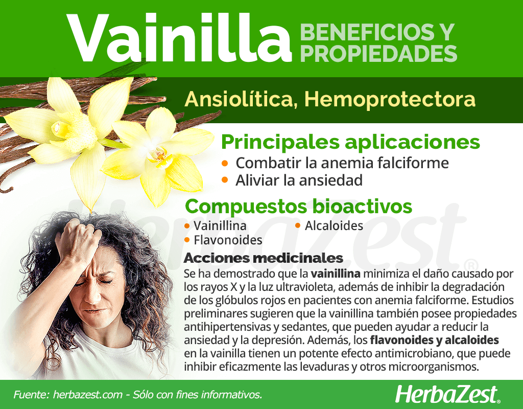 Beneficios del aceite esencial de vainilla, Estilo de Vida Bienestar