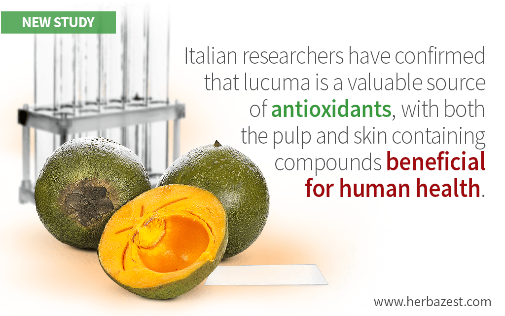 New Research Sheds More Light on Lucuma's Beneficial Compounds