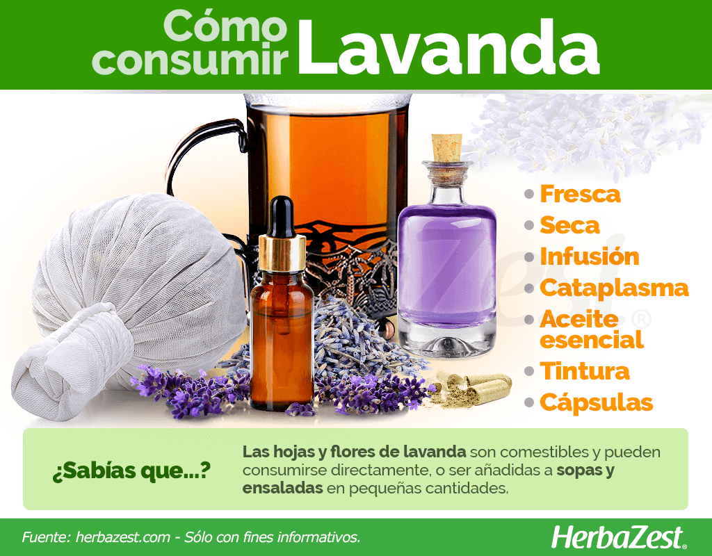 Cómo consumir lavanda