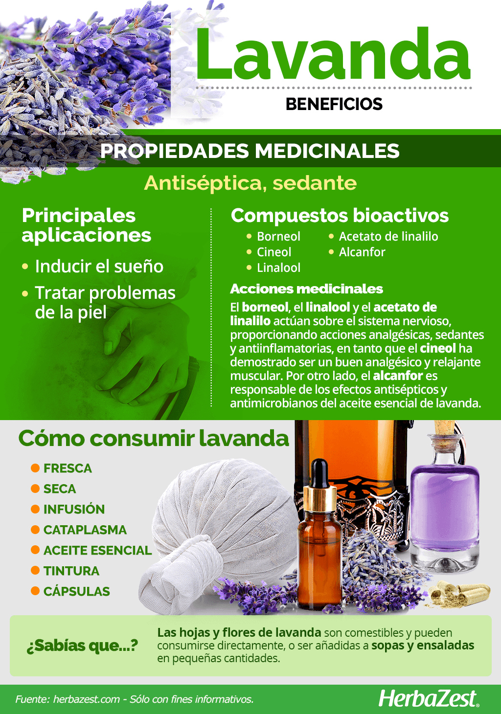 5 usos inusuales del extracto de lavanda en el hogar - Mejor con Salud