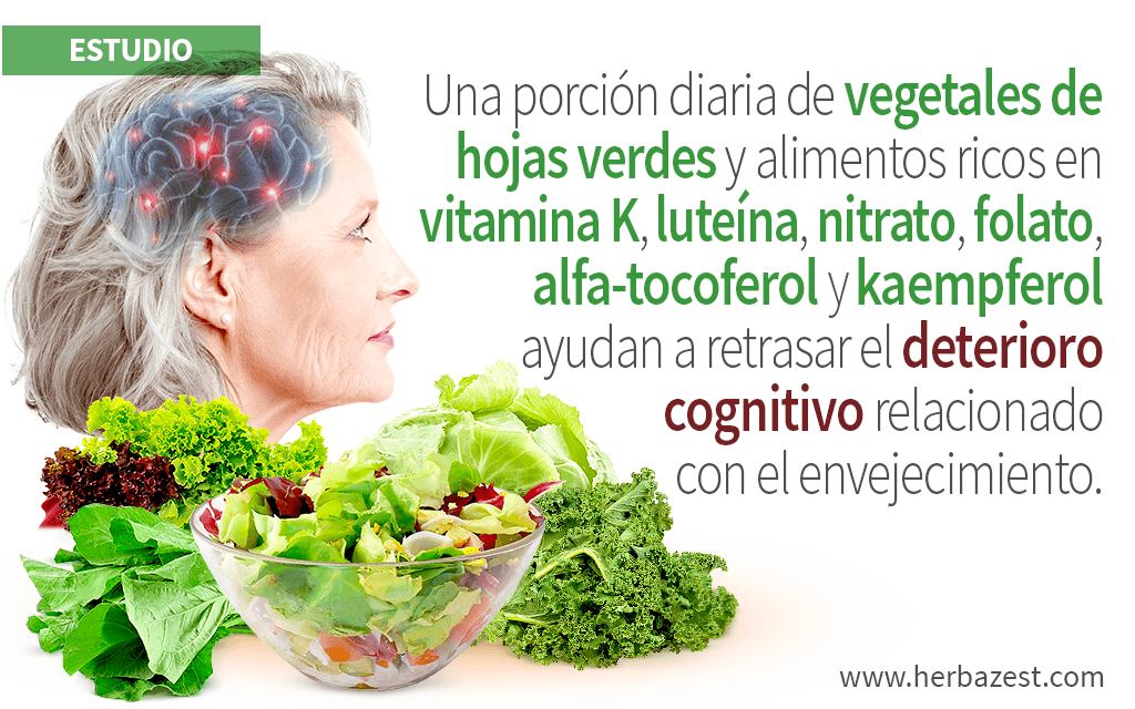 Los vegetales de hojas verdes pueden retrasar el deterioro cognitivo