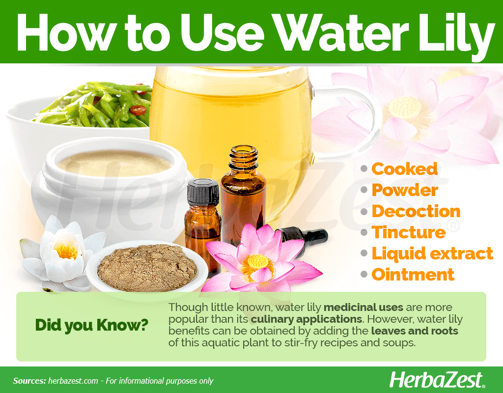 How to Use Water Lily