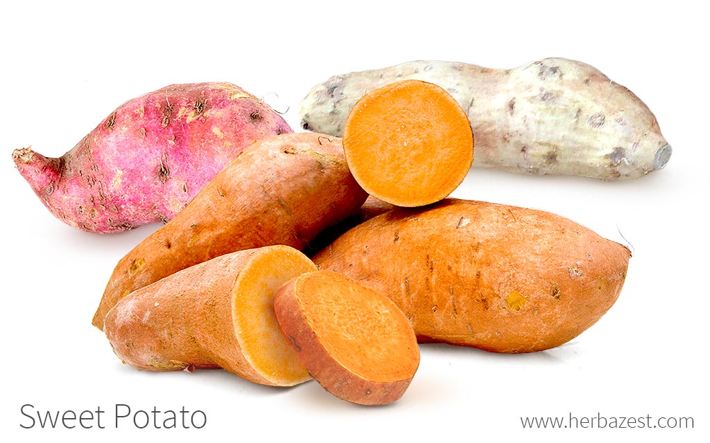 Sweet potato. 