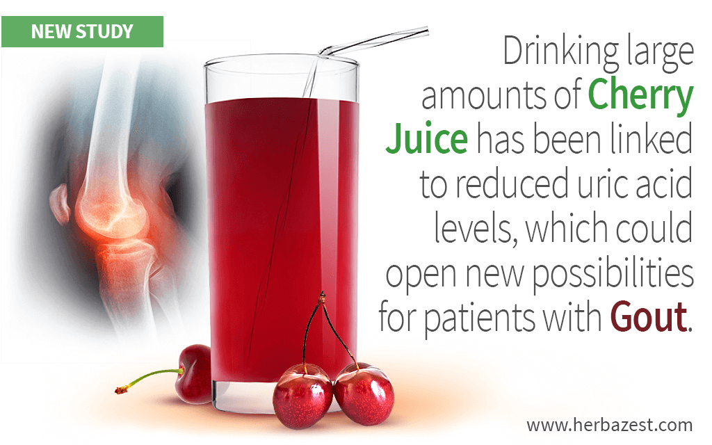 Drinking large amounts of Cherry Juice has been linked to reduced uric acid levels, which could open new possibilities for patients with Gout.