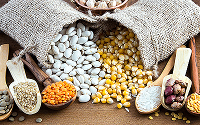 Study Highlights Pulses as Nutritious and Functional Food Ingredients