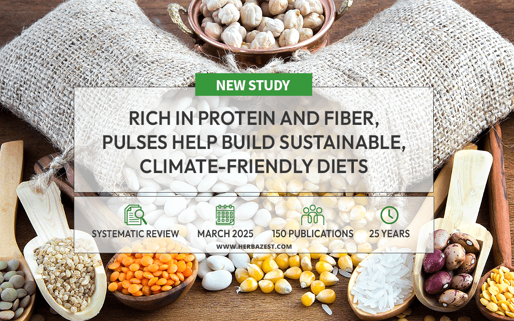 Study Highlights Pulses as Nutritious and Functional Food Ingredients