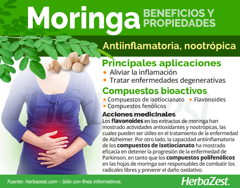 Beneficios y propiedades de la moringa