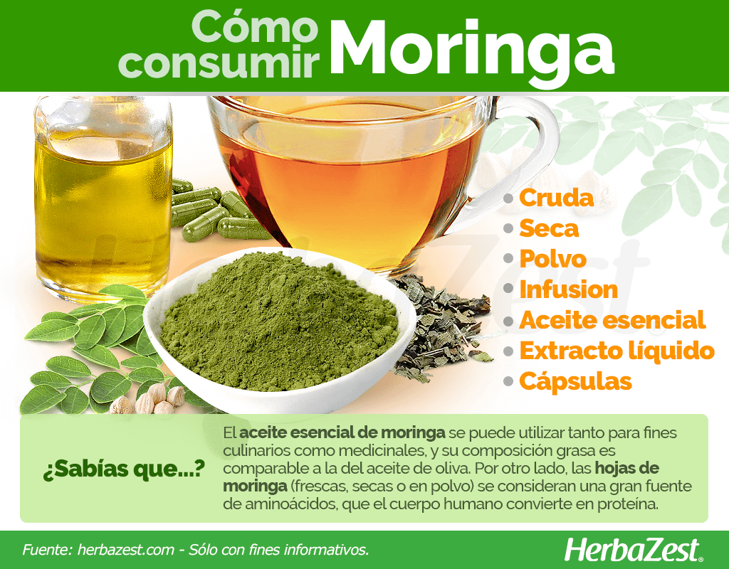 Cómo consumir moringa