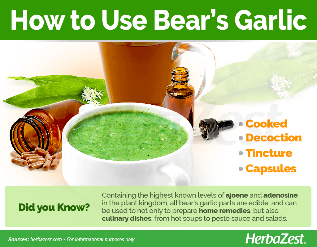 How to Use Bear's Garlic