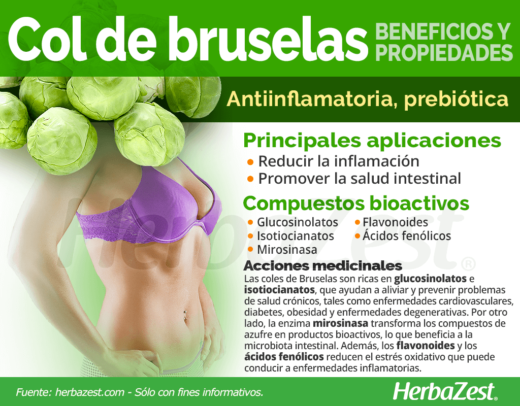 Beneficios y propiedades de la col de Bruselas